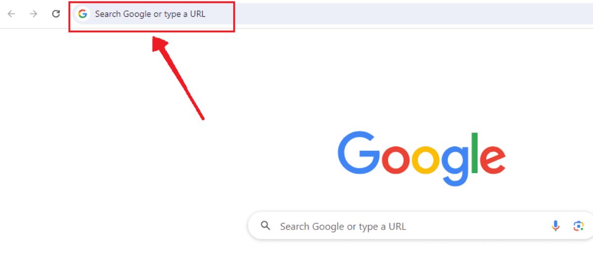 A screenshot highlighting the Omnibox on the Google Chrome browser.